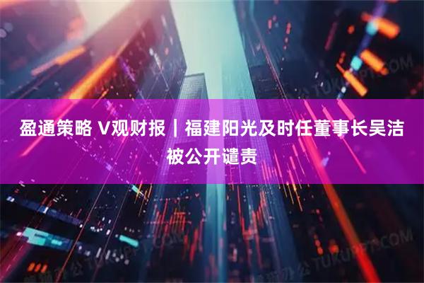 盈通策略 V观财报｜福建阳光及时任董事长吴洁被公开谴责