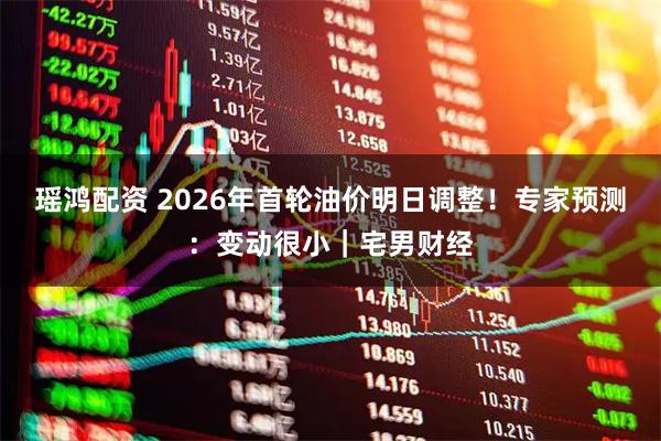 瑶鸿配资 2026年首轮油价明日调整！专家预测：变动很小｜宅男财经