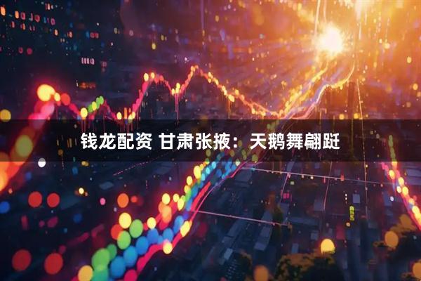 钱龙配资 甘肃张掖：天鹅舞翩跹