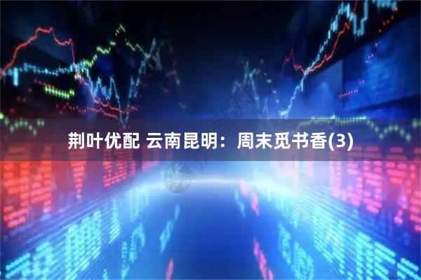 荆叶优配 云南昆明：周末觅书香(3)